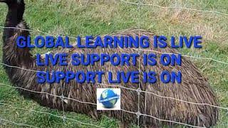 Global Learning is live