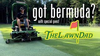 Bermuda Grass 101 with The Lawn Dad