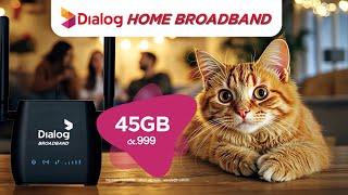 Chill එකේ Data Use කරන්න, හඳුන්වාදෙන අලුත්ම Dialog Home Broadband ගෙදරට Wi -Fi රීලෝඩ් රු.999 Plan එක