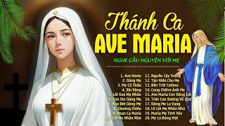 Ave Maria, Dâng Mẹ - Nhạc Thánh Ca Dâng Đức Mẹ Maria Hay Tuyệt Vời - Thánh Ca Công Giáo Tuyển Chọn