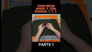 Como secar ROSAS   con plancha #parati #reciclaje #diy