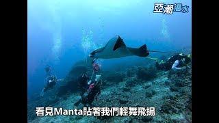 亞潮潛水 2019 Tubbataha 圖巴塔哈潛水旅遊