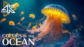 The Best 4K Aquarium  24 Hours Of Beautiful Coral Reef Fish - Sleep Relax Meditation Music