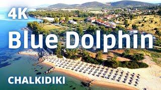 Hotel Blue Dolphin tour  - Metamorfosi , Chalkidiki , Greece