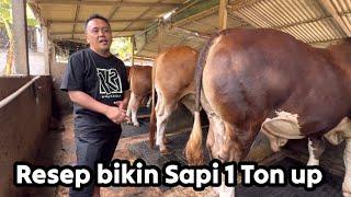 AKHIRNYA KP BOCORIN RESEP BIKIN SAPI 1 TON UP ‼️