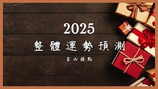 理科塔羅。即將到來的2025：整體運勢預測。(CC字幕)【誠實豆沙包Alert!!】