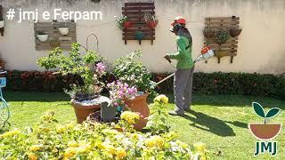 manutenção de jardim  na  208 norte  em Palmas TO