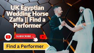 UK Egyptian Wedding Horse Zaffa || Find a Performer