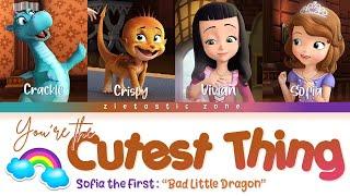 You're the Cutest Thing- Color Coded Lyrics | Sofia the First "Bad Little Dragon" | Zietastic Zone