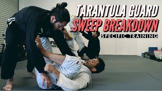 Crazy Strong Sweep from Tarantula Guard (Cross Body Sweep)