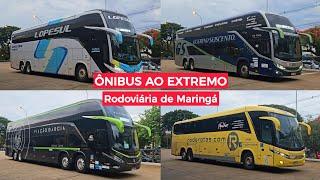 ÔNIBUS AO EXTREMO: Comil DD da Guerino, G8 da Lopesul e G7 da RodeRotas