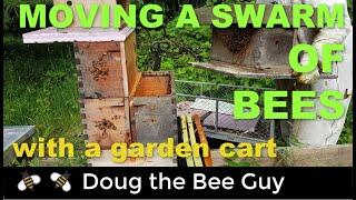 Moving Swarm of Honeybees in a Garden Cart