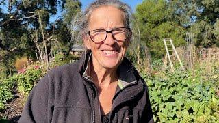 A Little Time in my Permaculture Vegetable Garden