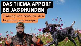 Das Thema "Apport" in der modernen Jagdhundeausbildung