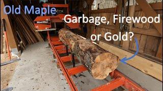 OLD MAPLE LOG - WHAT'S INSIDE?  #woodmizer #adirondacks #kubota #sawmill