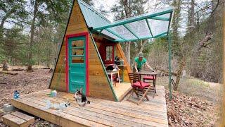 Spring cleaning my wilderness cabin- CALM VIBES & JUNGLE NIGHTS