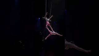 Flip the switch from artistic tent to stage and you get this... | Cirque du Soleil #shorts