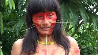 Isolated jaguar tribe between Peru Brazil Very remote forest Sapo drug rite in the jungle