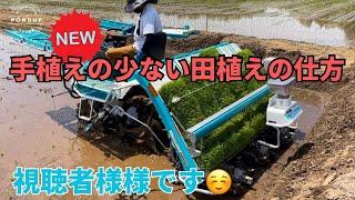 視聴者様からアドバイスでNEW手植えの少ない田植えの仕方#農業 #田植え#田んぼ