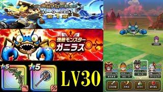 ドラクエウォーク　強敵ガニラスLV30初見攻略