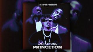 [FREE] SOUTHSIDE LOOP KIT - "PRINCETON" | FUTURE, CUBEATZ, EST GEE DARK LOOP KIT | 808 MAFIA LOOPKIT