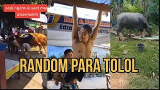 RANDOM PARA TOLOL WARGA +62 Terbaru ‼️ Ngakak part 25