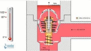 COMO FUNCIONA VALVULA TERMOSTATICA PARA QUE SERVE PORQUE NÃO PODEMOS TIRAR VALVULA TERMOSTATICA TOP