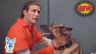 Hudson & Rex Season 2024 | Doghouse - Charlie and Rex investigate the death of an inmate.