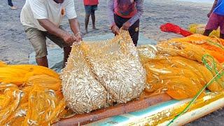  Woow!! Amazing !! Million 4k of fish catching unbelievable fishing video @fishnegombo