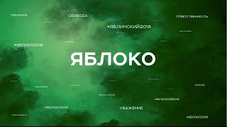 XIX cъезд партии "Яблоко". День  третий