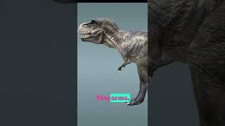 Most dangerous dinosaur T-Rex #dinosaur #trex #animation #3danimation #zackdfilms