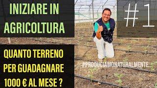 #1 Iniziare da Zero in Agricoltura Quanto terreno per fare 1000 € al mese