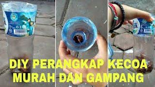 DIY MEMBUAT PERANGKAP KECOA