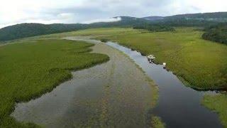 Kaw's marsh- Pitlab - Dragonlink - Guyane -Marais de Kaw