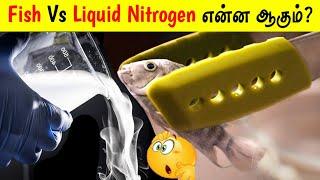 FishVsLiquidNitrogen என்ன ஆகும்?| Facts in Tamil_Facts in Minutes_Minutes Mystery_Info Bytes #Shorts