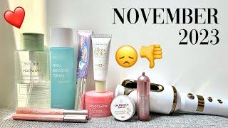 November Likes & Dislikes // acne prone & oily combination skin