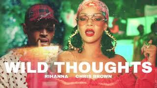 Rihanna & Chris Brown - Wild Thoughts