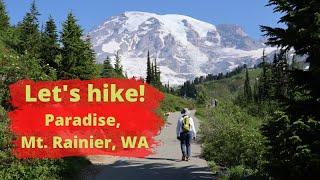 Summer Hike | Easy Trail w/ Breathtaking Views | Paradise, Mt Rainier, WA