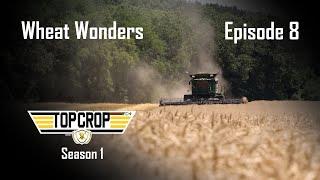 Top Crop | Episode 08 - Wheat Wonders