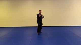 Vision Martial Arts: Kicking Combination #5 - Spin Kick Combination