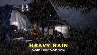 CAR & TARP CAMP with DOG in HEAVY RAIN & WIND - Weber Smoked Meat