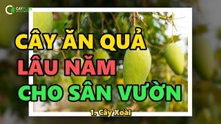 13 loại cây ăn quả lâu năm được trồng phổ biến trong sân vườn Việt - Phần 1