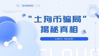 【量化知识档案室】币圈骗局？揭秘币圈中最大规模的土狗币骗局 ，防范土狗币骗局 守护自己的财产