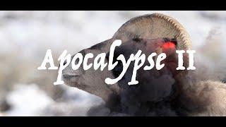 Apocalypse II b