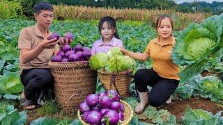 The process of family togetherness -Harvesting agricultural products to sell, Cooking works the farm