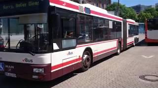 Gelenkbus - MAN NG 313