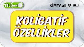 Koligatif Özellikler  | 11. Sınıf Kimya #2023