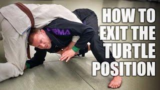 Getting Out of Turtle Postion | Jiu-Jitsu Transitions