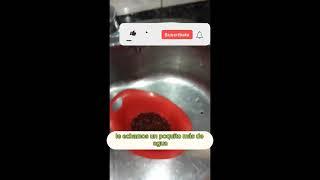 Caldo de Porotos (explícito video) #shorts
