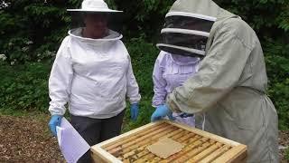 Diary 2nd June 2018 - Tyneside Beekeepers hive inspection